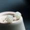 Aretes de Jade Hetian con Flor de Plata de Ley para Mujer