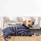 Pijama Elástico de Cuatro Patas para Perros con Cobertura Total