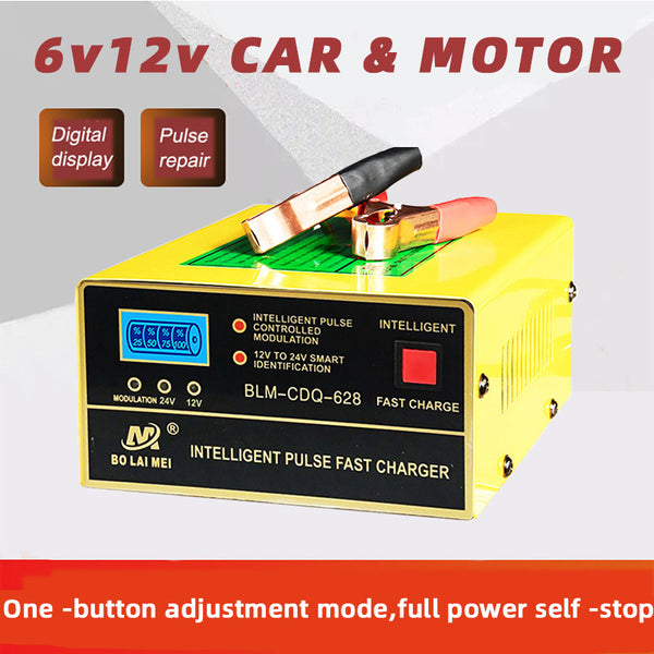 Cargador de Batería Inteligente 12V-24V