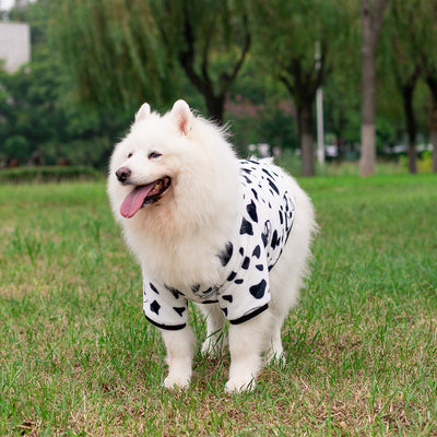 Vestido Transformador para Perros - Ropa de Moda Canina - Image 5