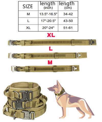 Collar para Perro - Image 10