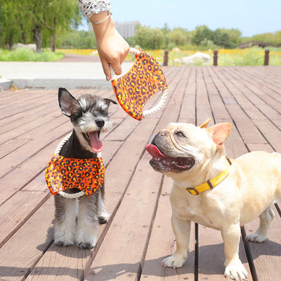 Cuerda de Algodón para Perros - Juguete Mordedor Resistente