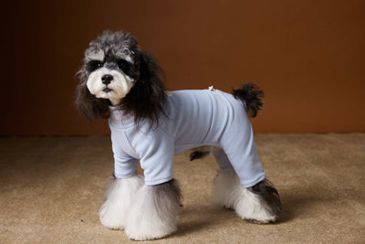 Playera Térmica para Perros Schnauzer y Bichón - Cómoda y Abrigadora - Image 13