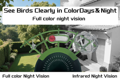 Comedero Inteligente para Aves con Cámara y Energía Solar - Image 12
