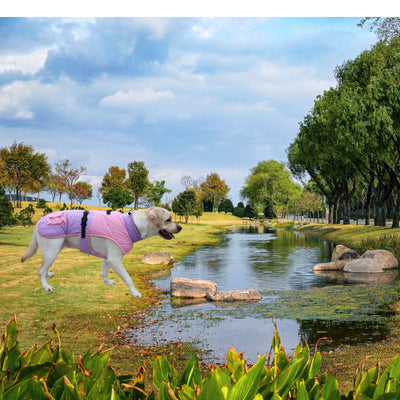 Abrigo Térmico para Perros - Invierno y Otoño - Image 12