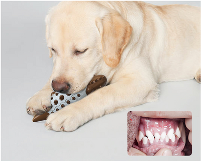 Pelota Interactiva para Perros con Dispensador de Premios y Limpieza Dental - Image 8