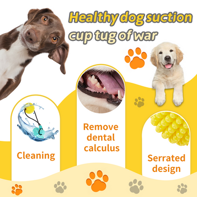 Juguete Masticable de Maíz con Ventosa - Juego Interactivo de Tracción para Perros Medianos y Grandes - Image 7