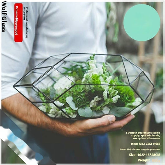 Jardín en Miniatura de Suculentas en Caja de Cristal - Ecosistema Eterno - Image 2