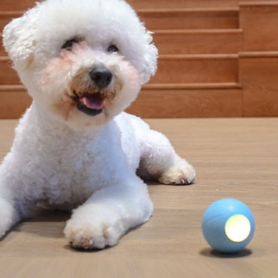 Orange smart rolling ball cat toy with a glowing blue-green light, designed for interactive play and boredom relief. - Image 11