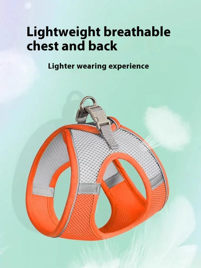 Small light brown poodle wearing an orange mesh dog vest harness with reflective trim and a retractable leash. - Image 25