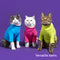 Suéter Térmico para Gatos con Cuello Alto
