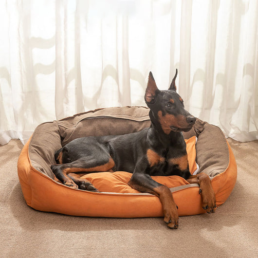 Caseta Desmontable para Perros Grandes - 4 Estaciones con Cojín Lavable - Image 4