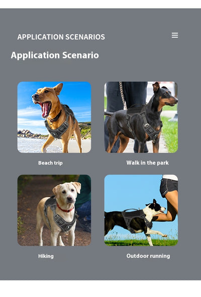 Arnés Táctico de Pecho para Perros de Búsqueda y Rescate - Image 15