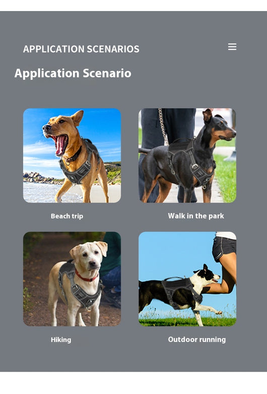 Arnés Táctico de Pecho para Perros de Búsqueda y Rescate - Image 15