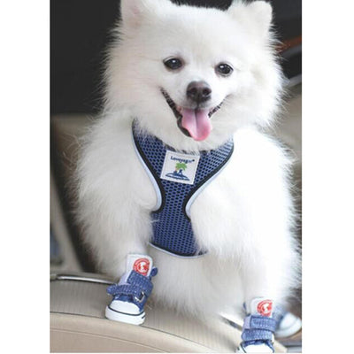 Zapatos Teddy para Perros Pequeños - Todas las Estaciones - Image 3
