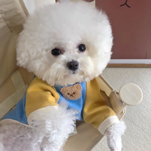 Suéter Coreano para Perros Poodle - Pullover Abrigado para Mascotas - Image 3
