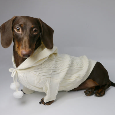 Sudadera Deportiva con Capucha para Otoño e Invierno - Image 13