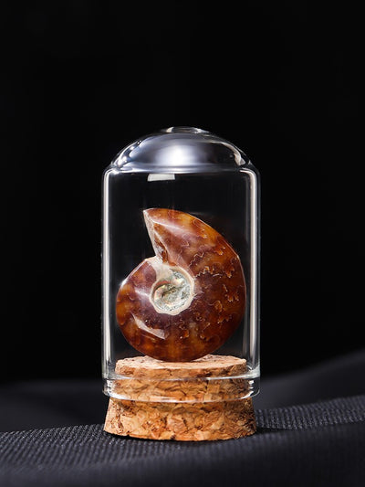 Minerales Naturales Coleccionables - Especímenes de Cristal Bruto para Niños - Image 3