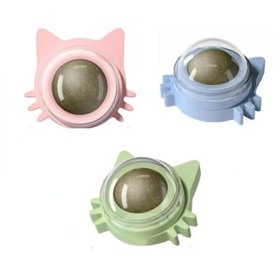 Light blue and light green catnip ball wall toys, shaped like cat faces, with clear domes containing catnip. - Image 15
