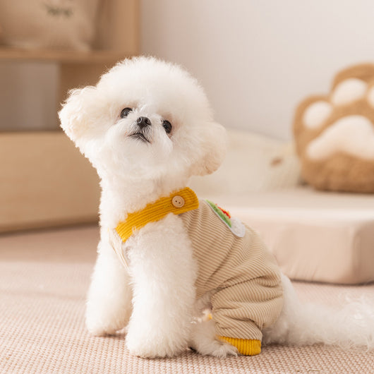 Mono Arcoíris de Pana para Perros Pequeños - Overol de Invierno - Image 6