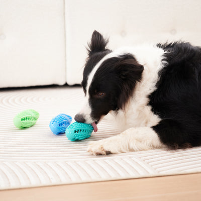 Pelota Interactiva Comedero para Perros - Juguete Dispensador de Alimento con Textura Masticable - Image 5