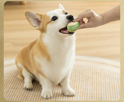 Plush dog toy set featuring a green and beige tennis racket (29cm) and a matching 6cm tennis ball. - Image 14