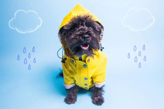 Impermeable para Perros - Abrigo Protector Contra Lluvia - Image 26
