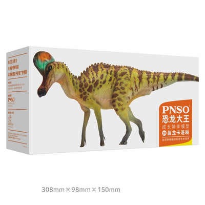 Colección de Modelos de Dinosaurios Caroline - Juguetes Educativos Infantiles - Image 8