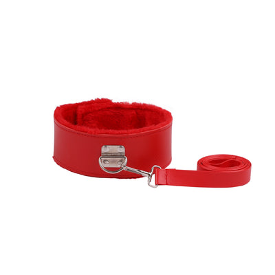 Collar con Hebilla de Seguridad y Cadena de Tracción - Image 12