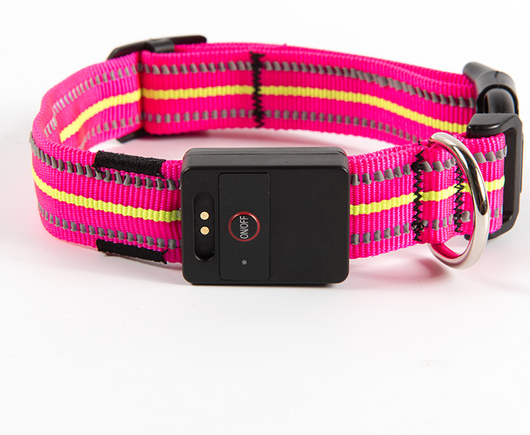 Collar Luminoso para Perro - Image 9