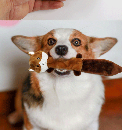 Juguetes para Perros sin Relleno - Zorro, Mapache y Ardilla con Sonajero - Image 9