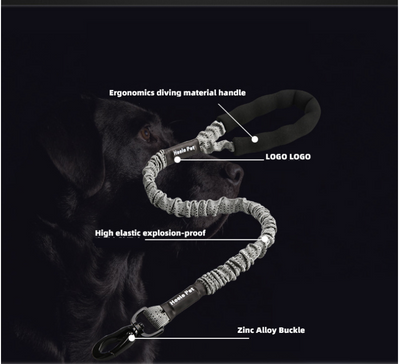 Cuerda Elástica de Tracción para Perros - Image 20
