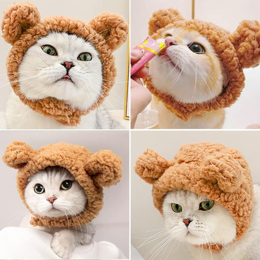 Gorro Disfraz de Osito Cálido para Gatos y Mascotas Pequeñas - Image 9