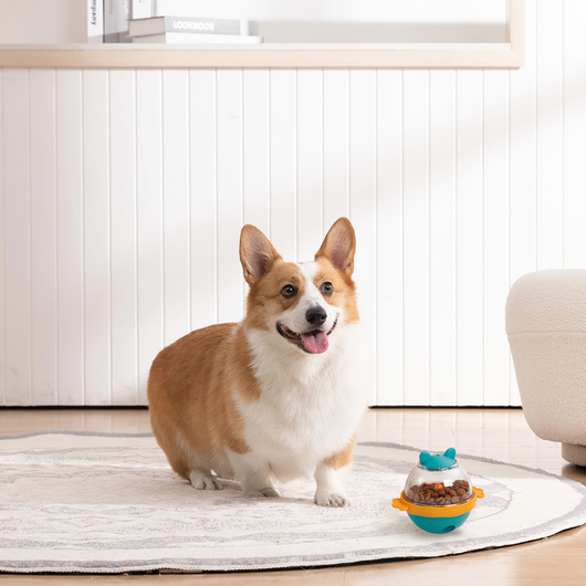 Juguetes Interactivos Dispensadores de Premios para Perros - Bolas de Alimentación Lenta con Estimulación Mental - Image 17