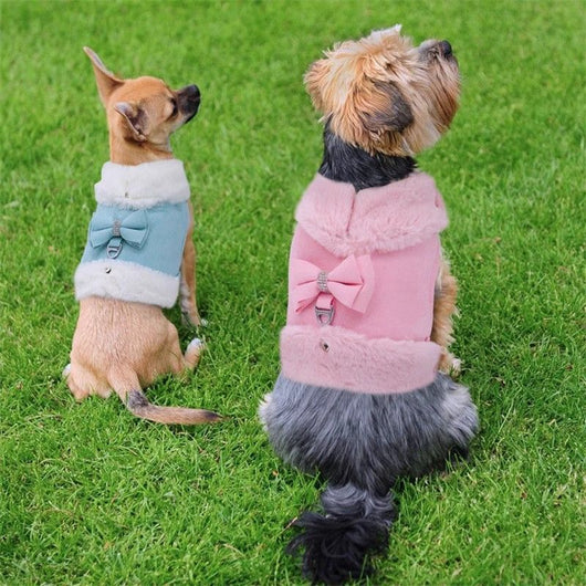 Arnés Cálido para Perro Pequeño con Correa y Moño - Acolchado Suave con Cuello de Pelaje Removible - Image 18