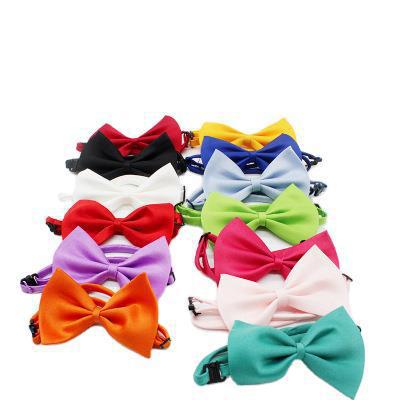 Correas y Accesorios para Mascotas con Diseño Floral y Moños Mariposa - Image 5