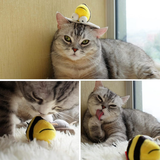 Juguete Interactivo para Gatos con Sonidos y Chirridos - Juguete Musical Perseguidor de Melodías - Image 8