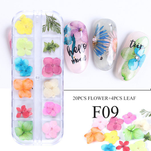 Kit de Flores Secas para Decoración de Uñas - 12 Compartimentos con Margaritas y Flores Silvestres Reales - Image 15