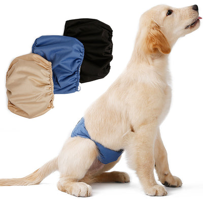 Pañal Sanitario Lavable para Perros Macho con Arnés de Sujeción - Image 2