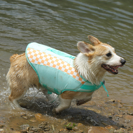 Ropa de Verano para Perros Corgi y Golden Retriever - Image 15
