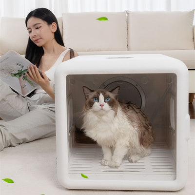 Secador Automático para Gatos Home Fashion - Image 7