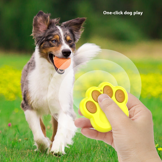 Pelota Automática Resistente para Perros - Juguete Interactivo - Image 22
