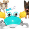 Juguete Canino Cangrejo Interactivo con Sensor de Obstáculos, Luces y Música
