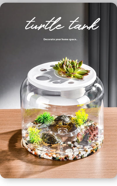 Acuario de Escritorio Ecológico con Alimentador Automático - Image 9