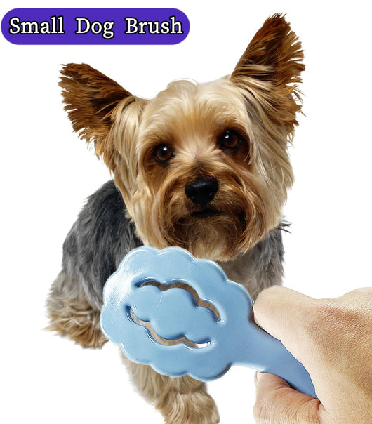 Cepillo de Aseo en Forma de Nube para Perros Pequeños - Ideal para Maltés, Shih Tzu y Yorkies - Image 7