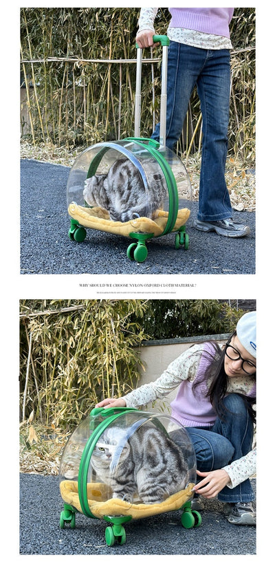 Mochila Transportadora Transparente para Gatos y Mascotas Pequeñas - Image 24