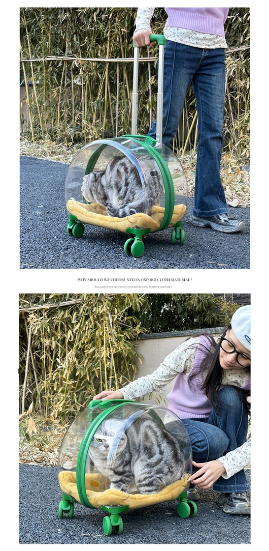 Mochila Transportadora Transparente para Gatos y Mascotas Pequeñas - Image 24