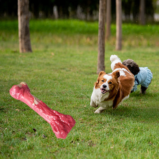 Juguete Masticable para Perros Grandes - Hueso Resistente a Mordidas - Image 2