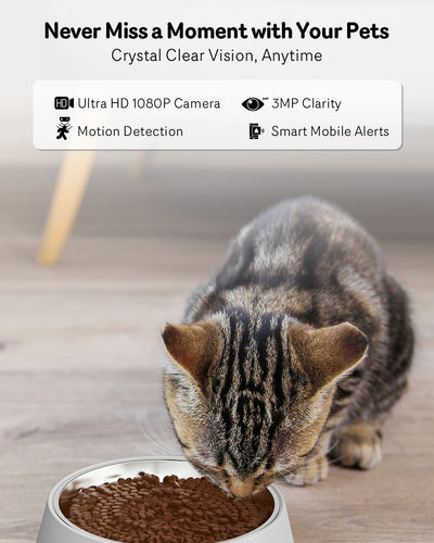 Comedero Automático para Gatos con Cámara 1080P, Visión Nocturna y WiFi 5G - Image 8