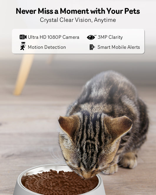 Comedero Automático para Gatos con Cámara 1080P, Visión Nocturna y WiFi 5G - Image 8